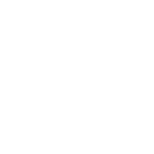 Lexis+ AI